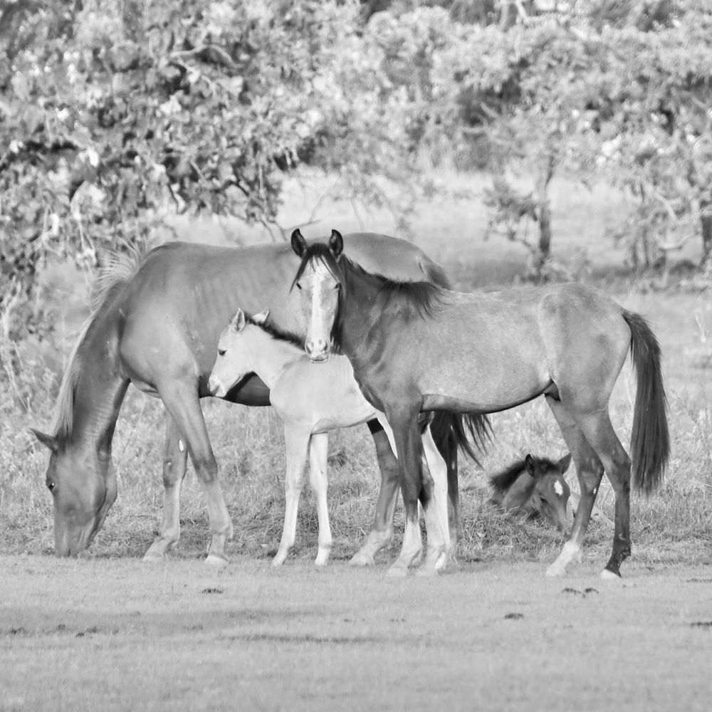 Photograph by Marzio Fattorini