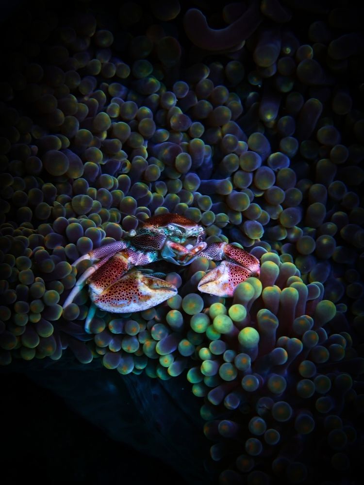 Photograph by Кирилл Леднев