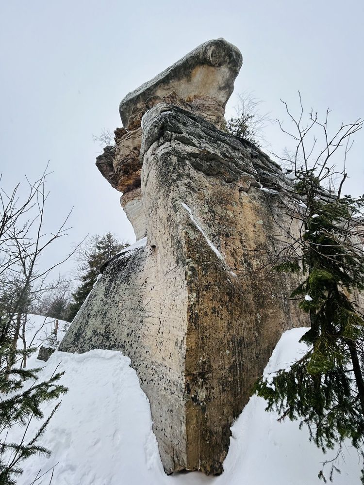 Северная пустыня