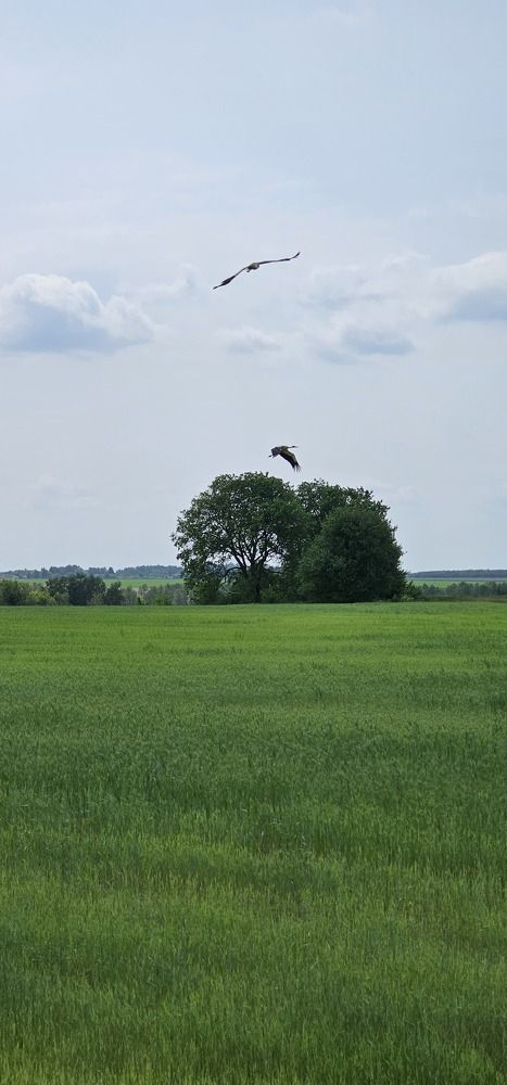 Photograph by Александр Петуховский