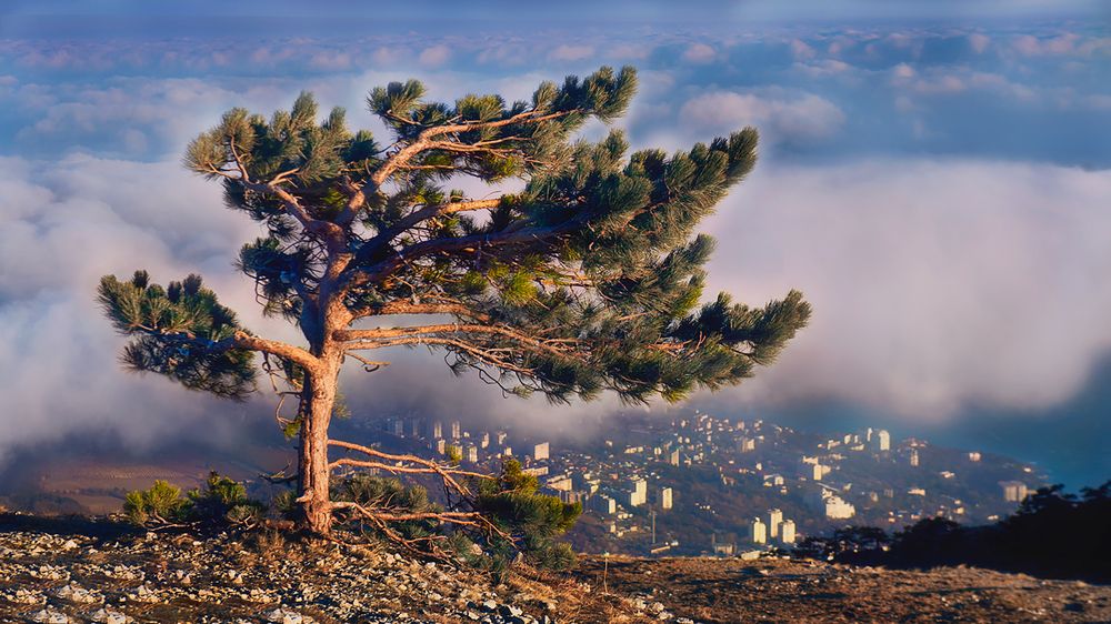 Photograph by Ольга Афанасенко