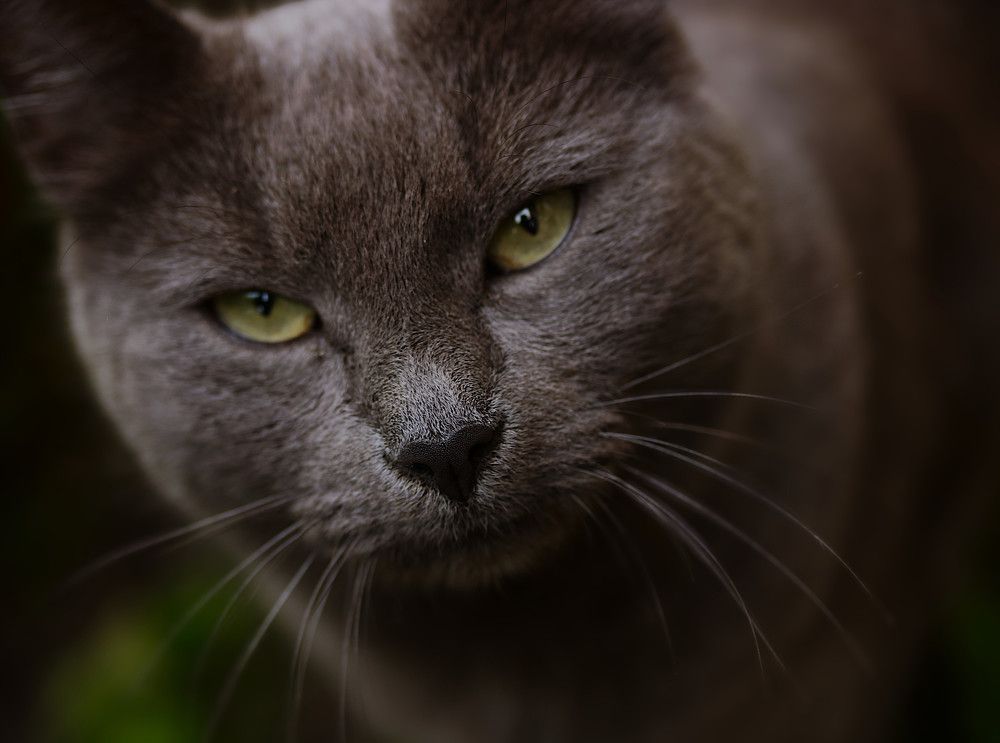 Photograph by Гагик Саркисян