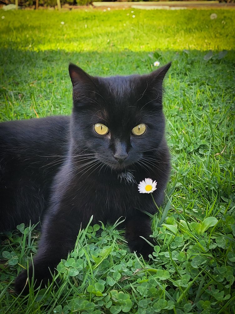 Photograph by Луиза Перегарова