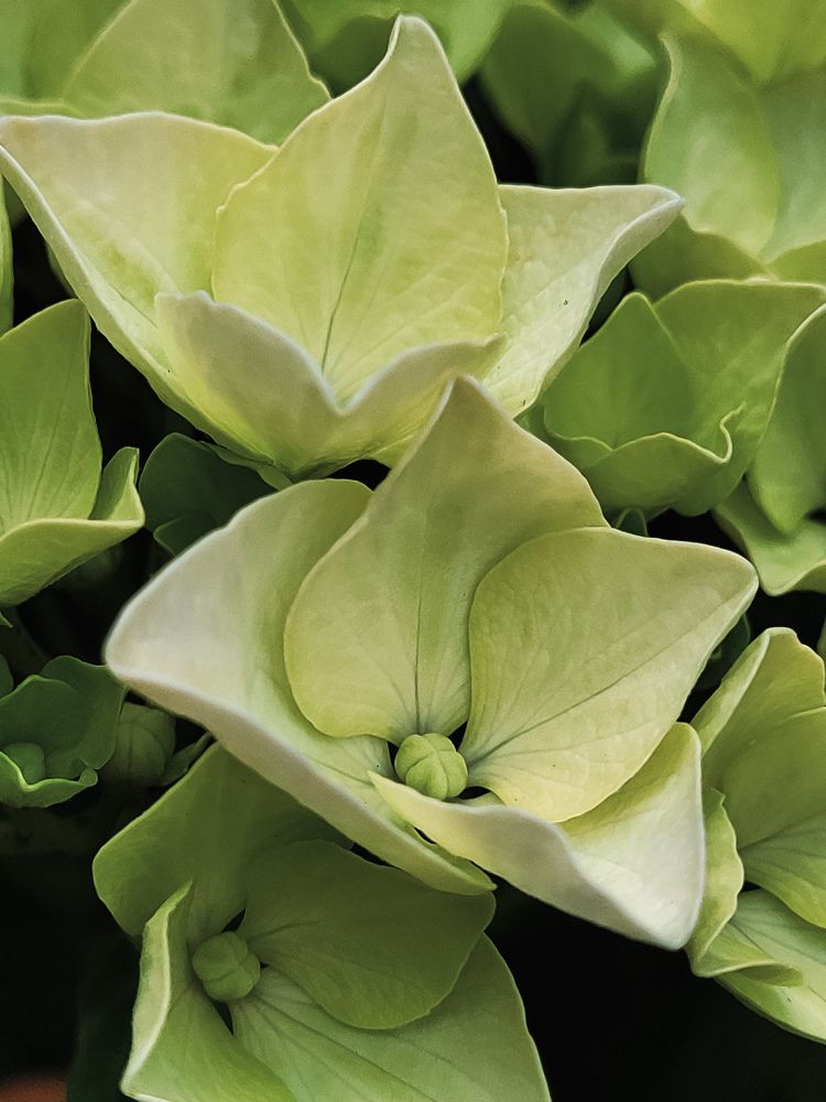 Photograph by Луиза Перегарова