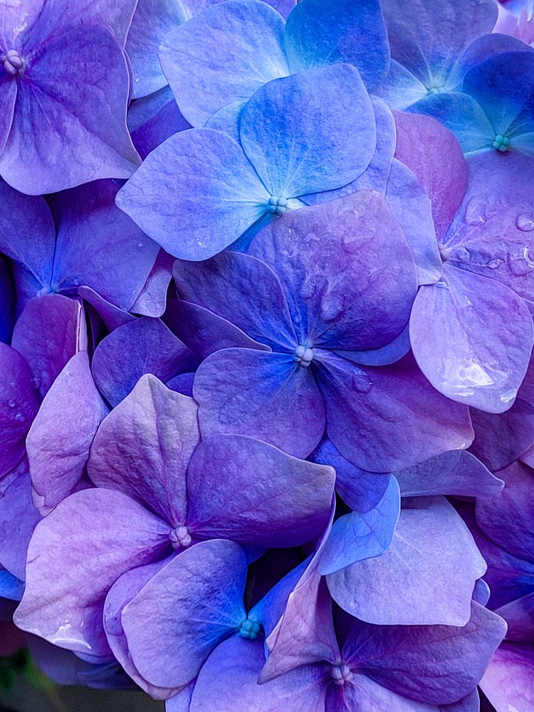 Photograph by Луиза Перегарова