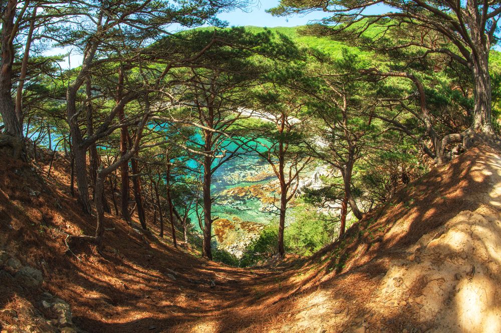 Photograph by Zemnuhov Sergey