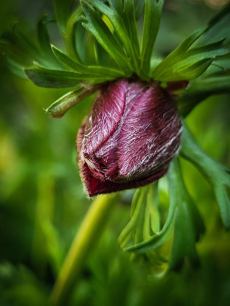 Photograph by Луиза Перегарова