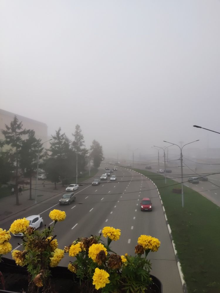 Photograph by Александр Пургин