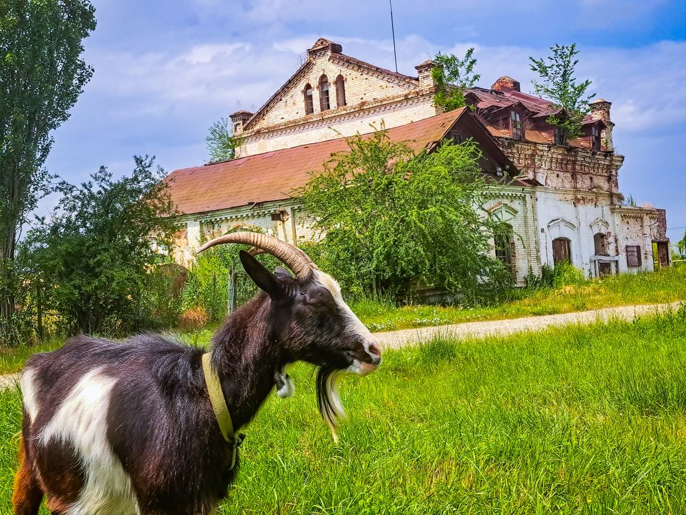 Фотография автора Ксения Смирнова