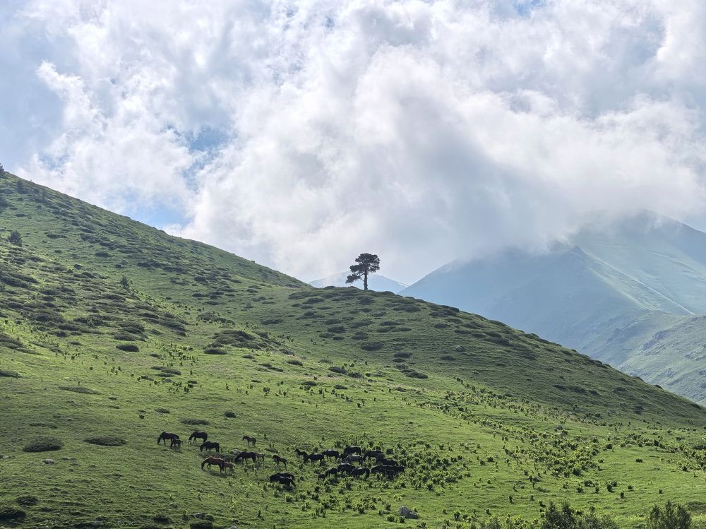 Photograph by Natalia Novikova