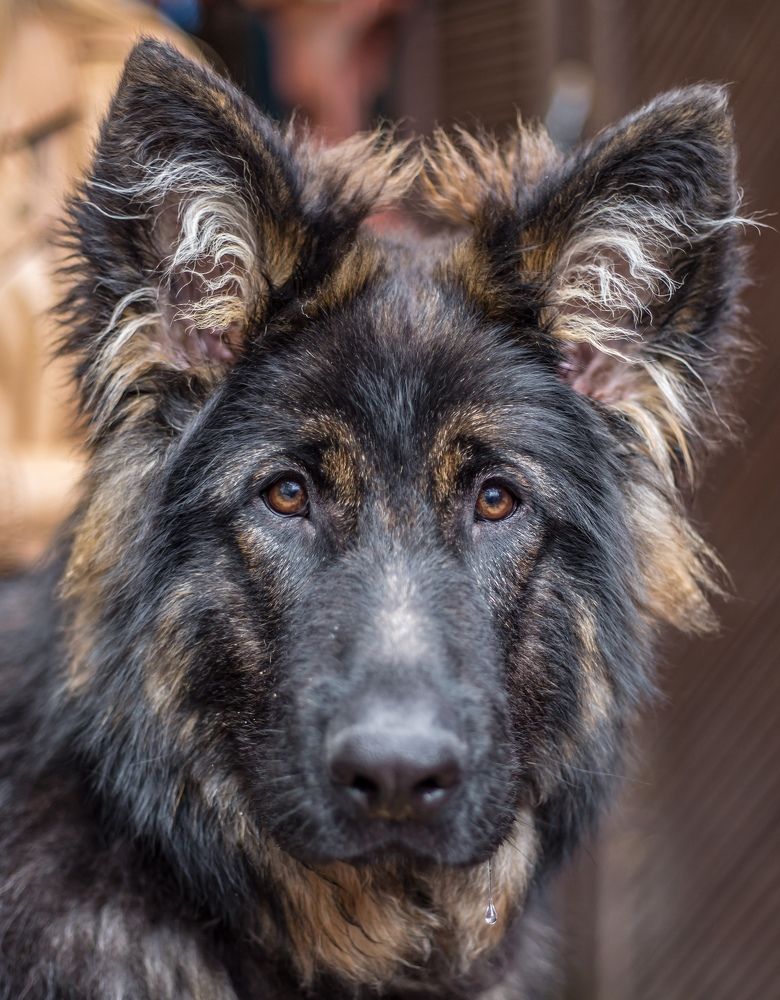 Photograph by Александр