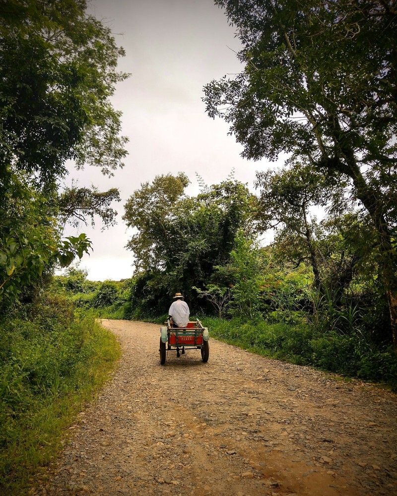 Фотография автора Giovani Martins Candido