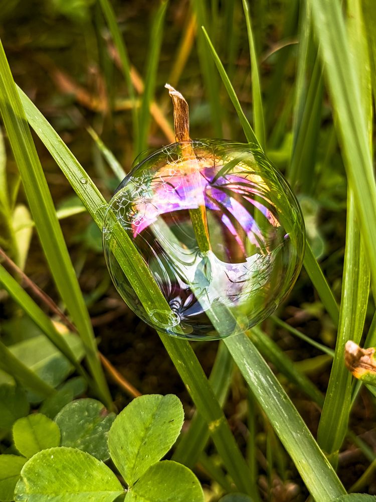 Photograph by Olya Smirnova