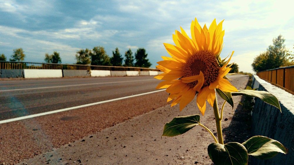 Photograph by Юрий