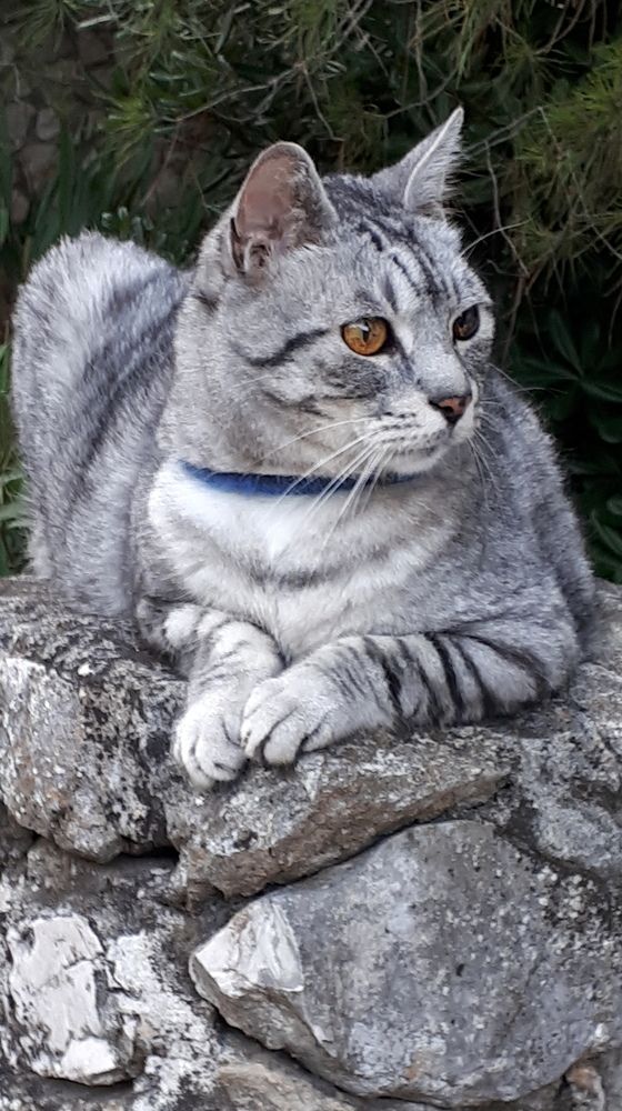 Photograph by Emil Zivanov