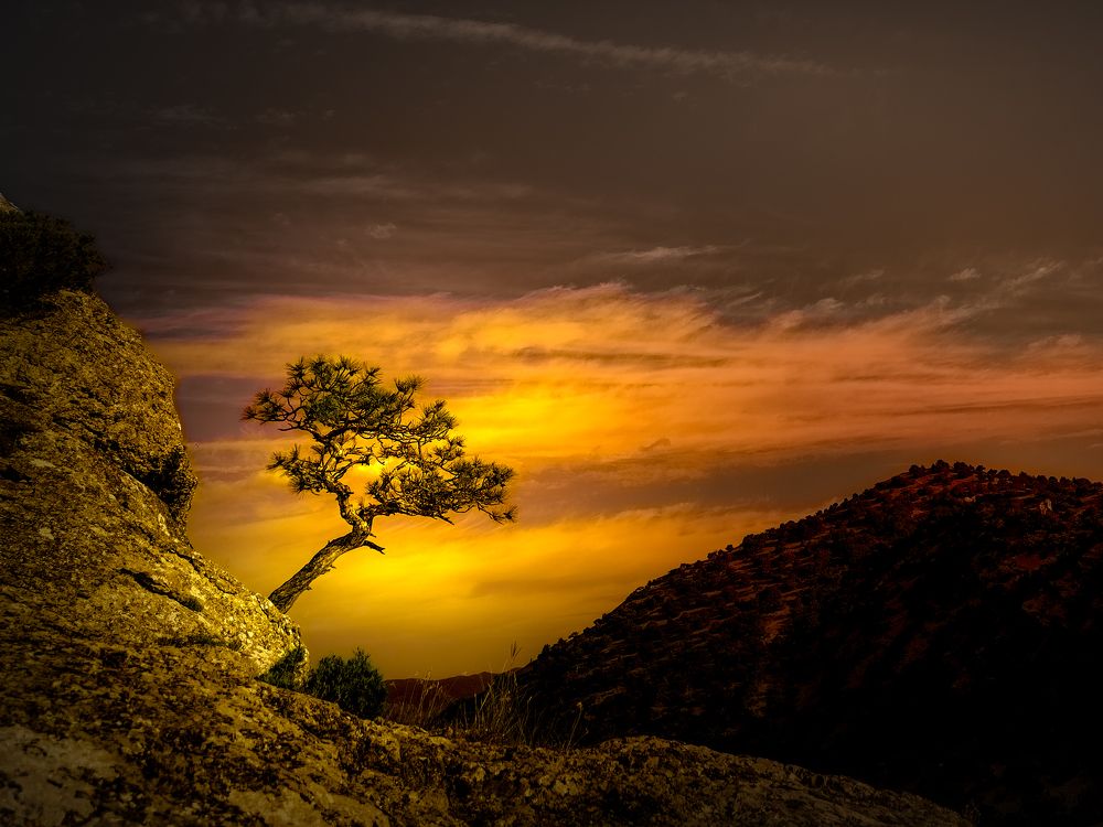 Photograph by Александр Разумов