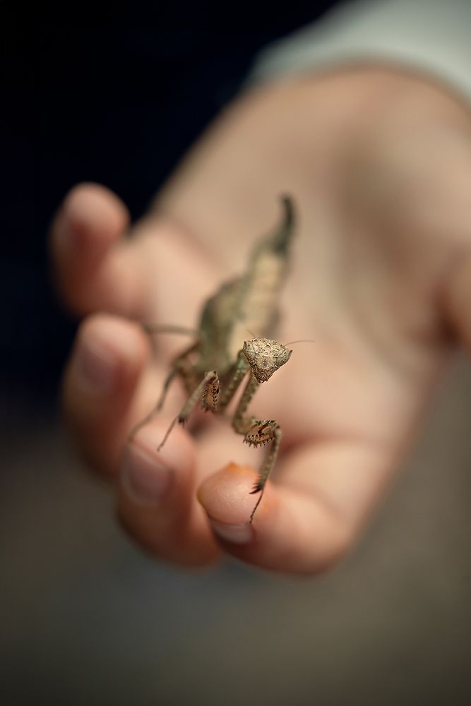 Photograph by luciana zapatero