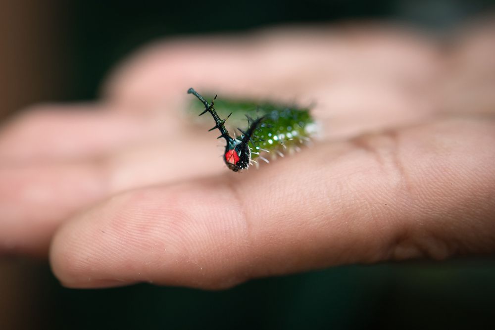 Photograph by luciana zapatero