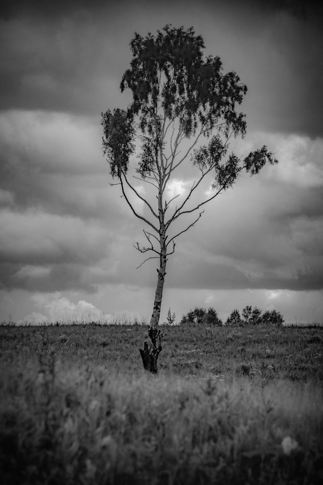 Фотография автора Виталий Гавронский
