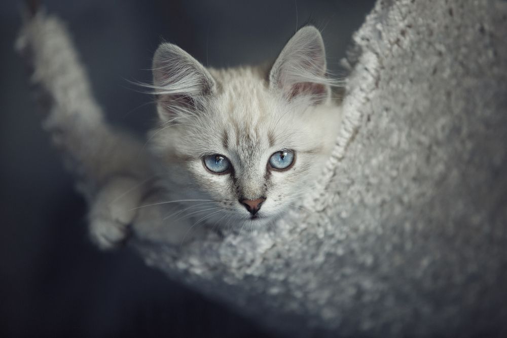 Photograph by Ольга Рябчикова