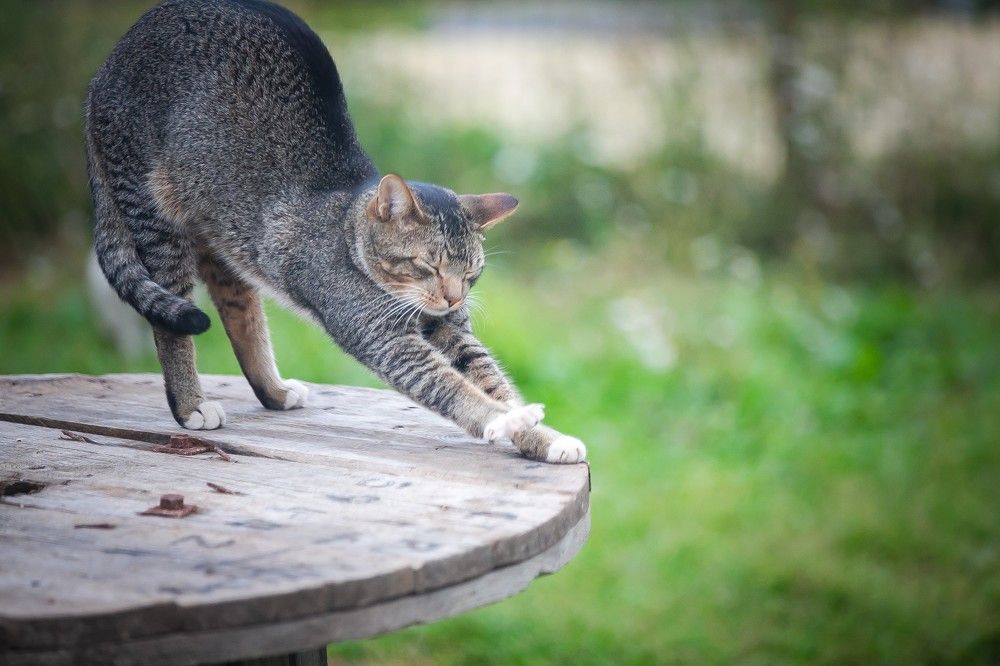 Photograph by Очева Наталья Александровна