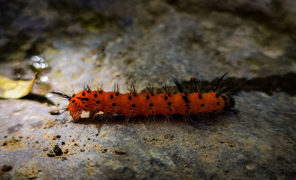 Photograph by Abimael Veliz salvatierra