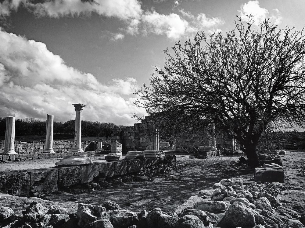 Photograph by Ольга Мальцева