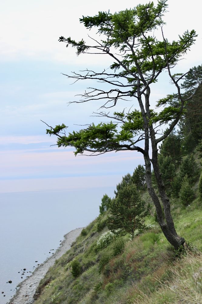 Photograph by Елена Секрет