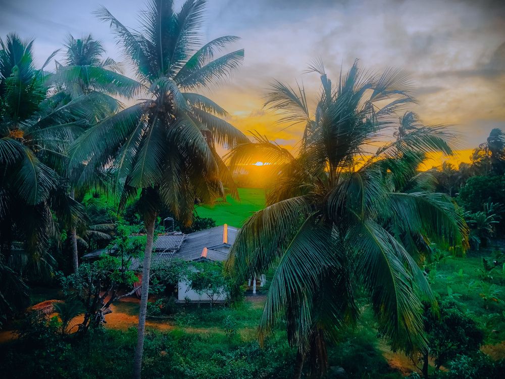 Photograph by Sanuka Nimantha