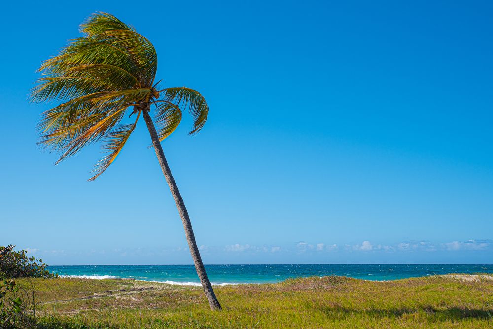 Photograph by Abel Cancino Gutierrez