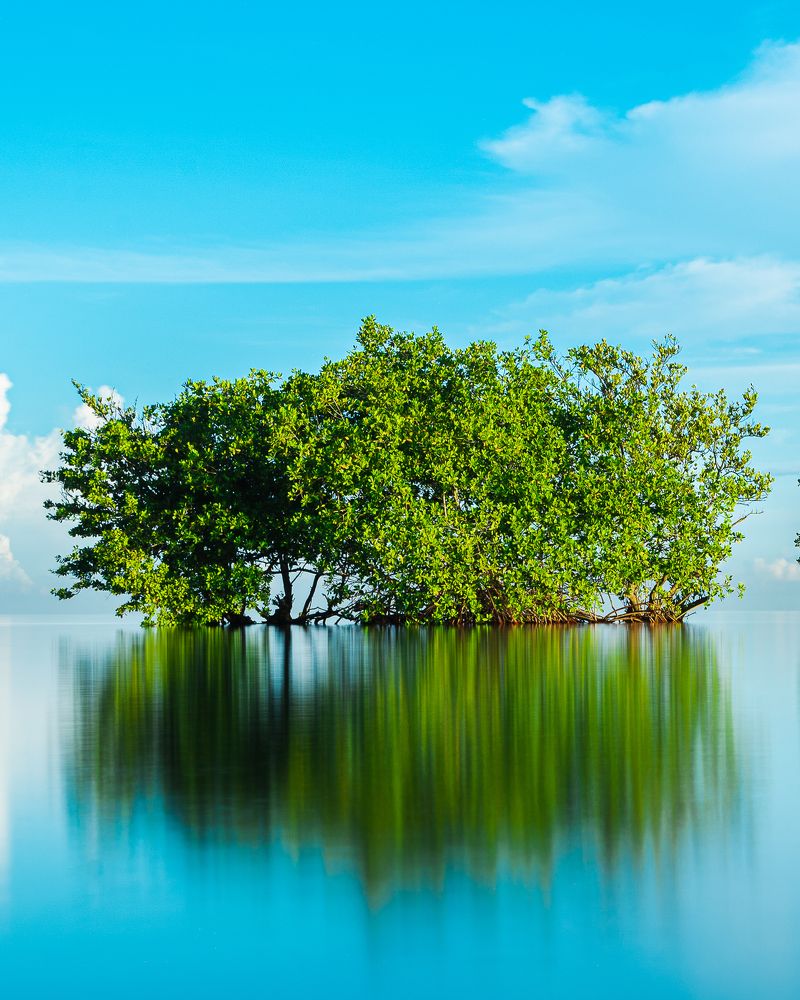 Photograph by Abel Cancino Gutierrez