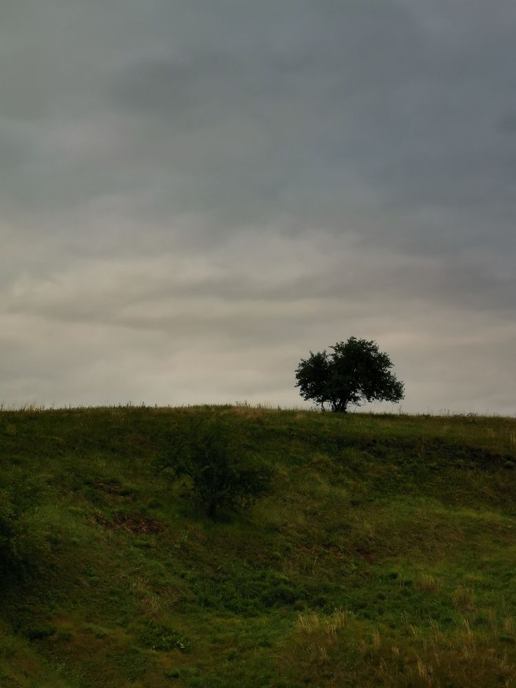 Photograph by Oxana Kostsova