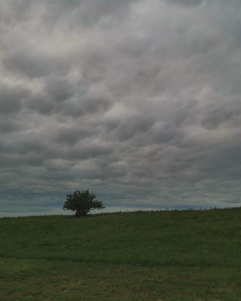 Photograph by Oxana Kostsova