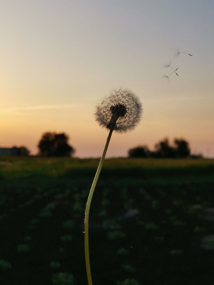 Photograph by Oxana Kostsova