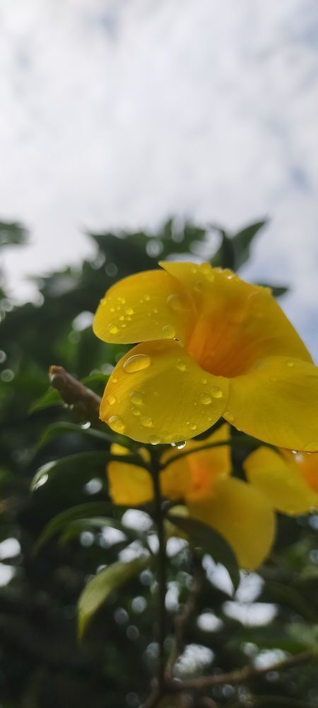 Mobile photography