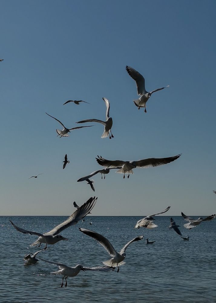 Photograph by Oxana Kostsova