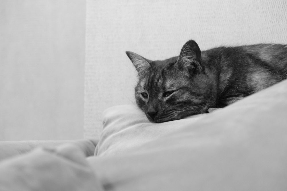 Photograph by Nikita Larionov