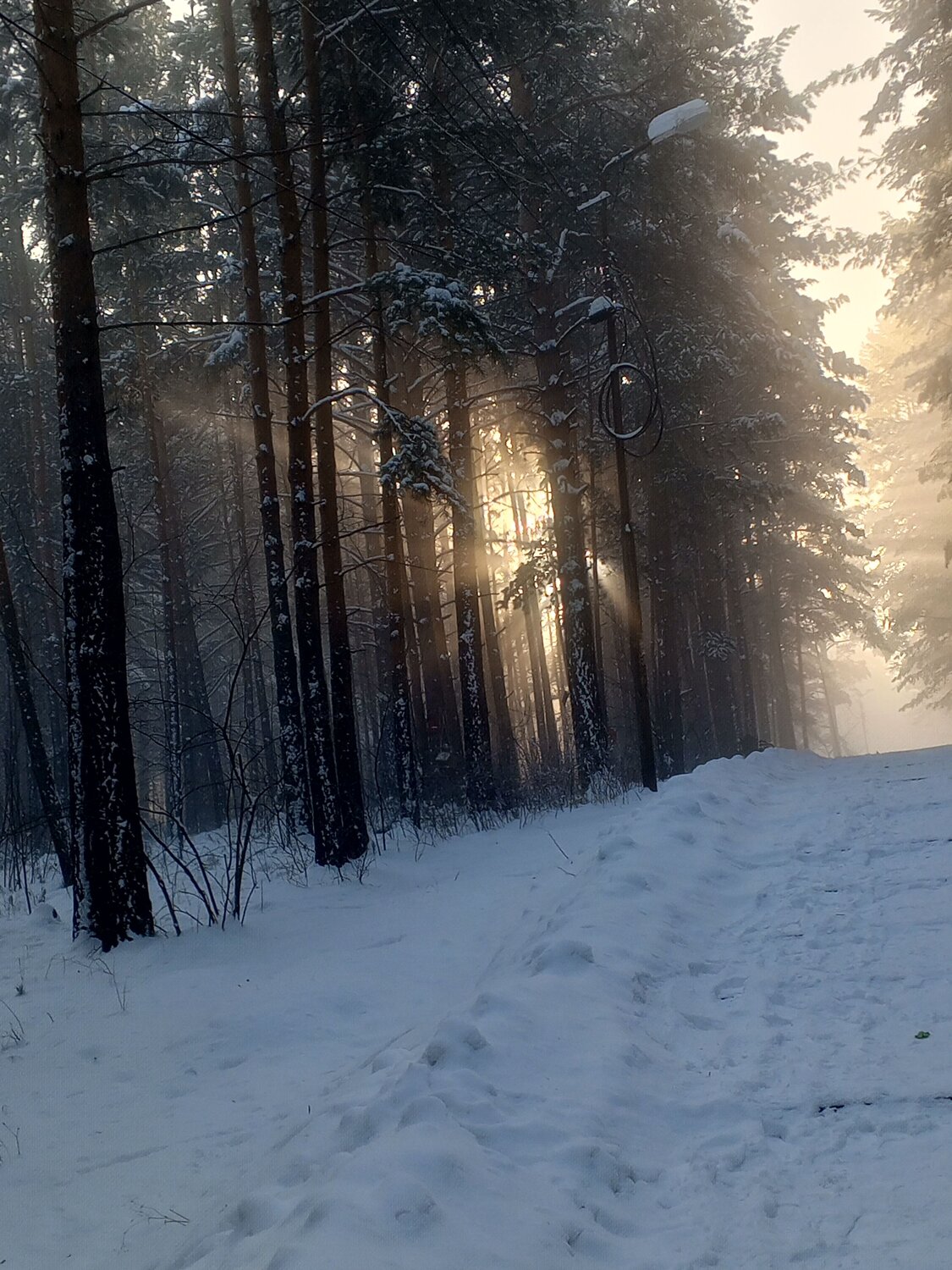 Photo #10740725