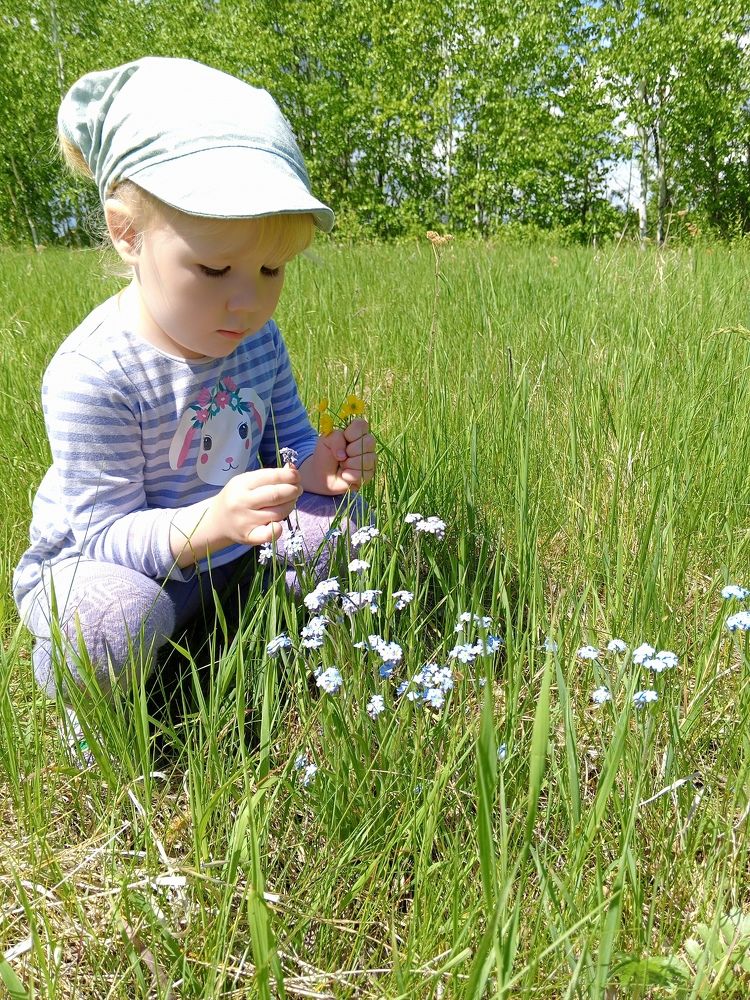 Photo #10740727