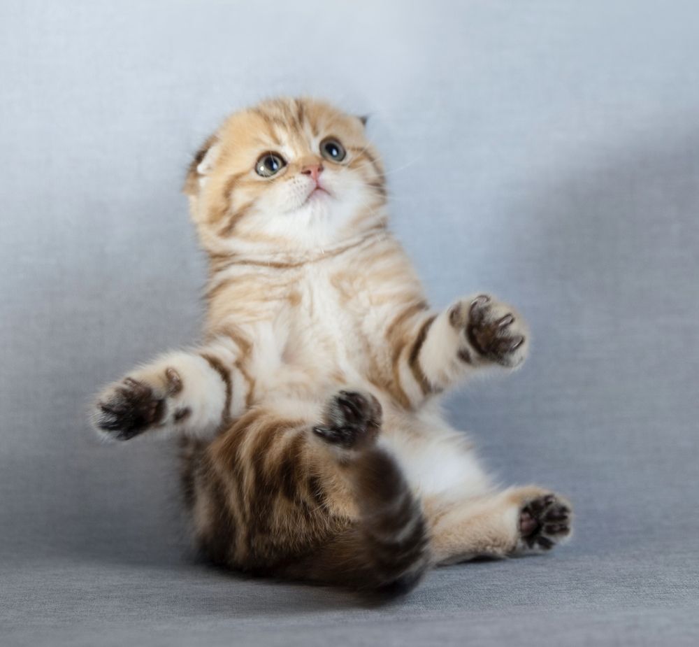 Photograph by Наталья Старостенко