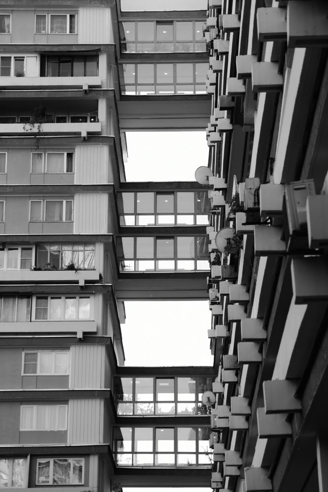 Photograph by Светлана Салмина