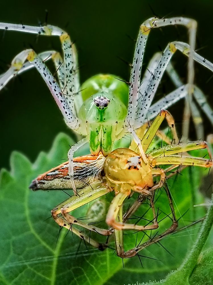 Фотография автора Biplab Hazra