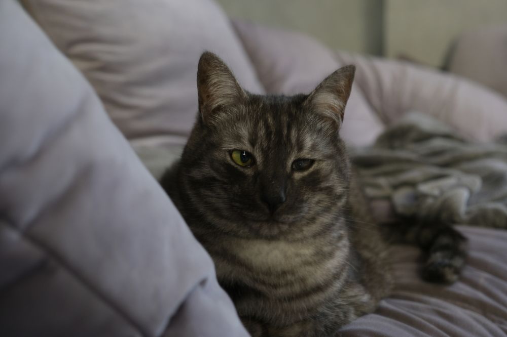 Photograph by Nikita Larionov