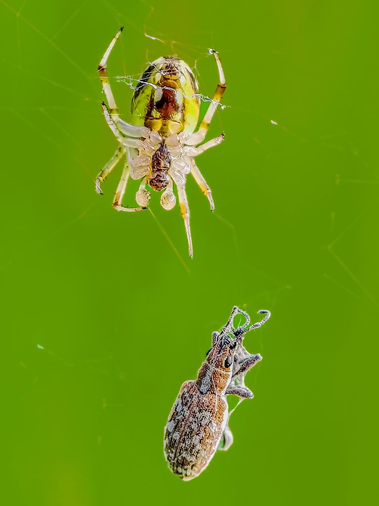 Фотография автора Biplab Hazra