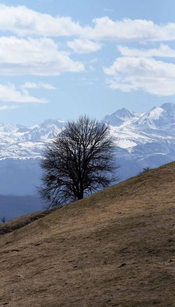 Photograph by Светлана Салмина