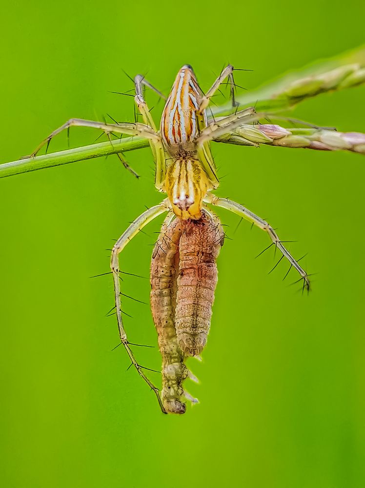 Фотография автора Biplab Hazra