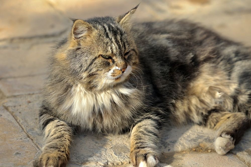 Photograph by Ольга Одаренко