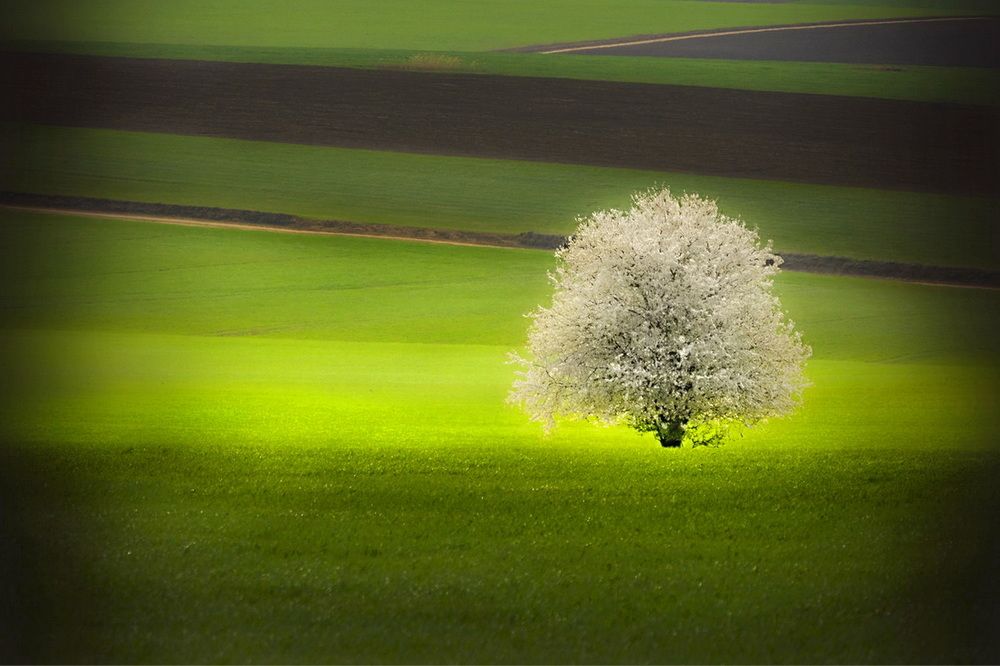 Photograph by Mariana Negulescu