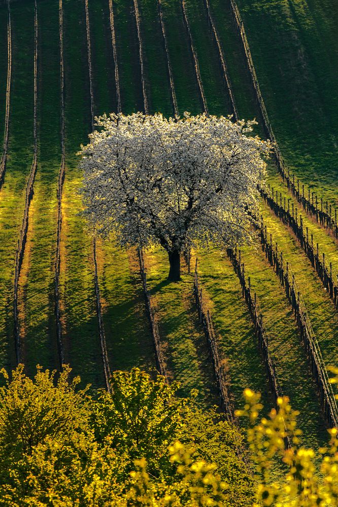 Photograph by Шимаковский Юрий