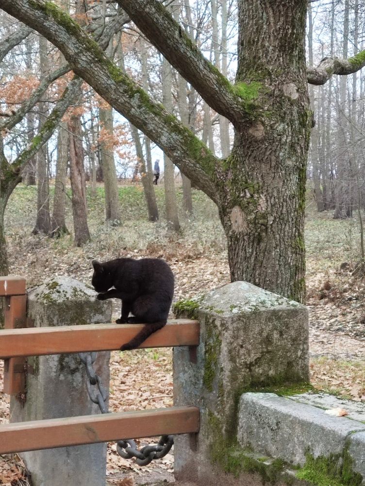 Photograph by Светлана Захарова